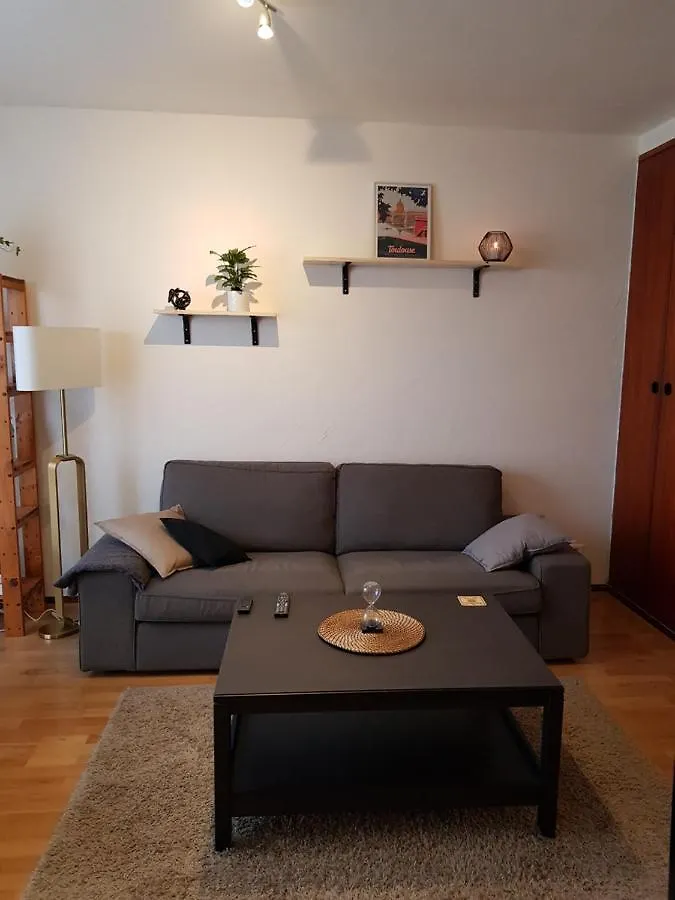 Apartman Superbe Appartement En Residence Avec Parking Toulouse